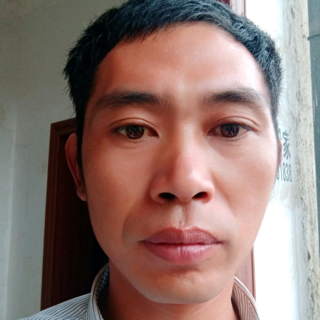 为你停刘