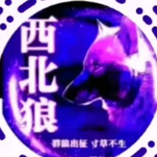 西北甄选(电商助农)