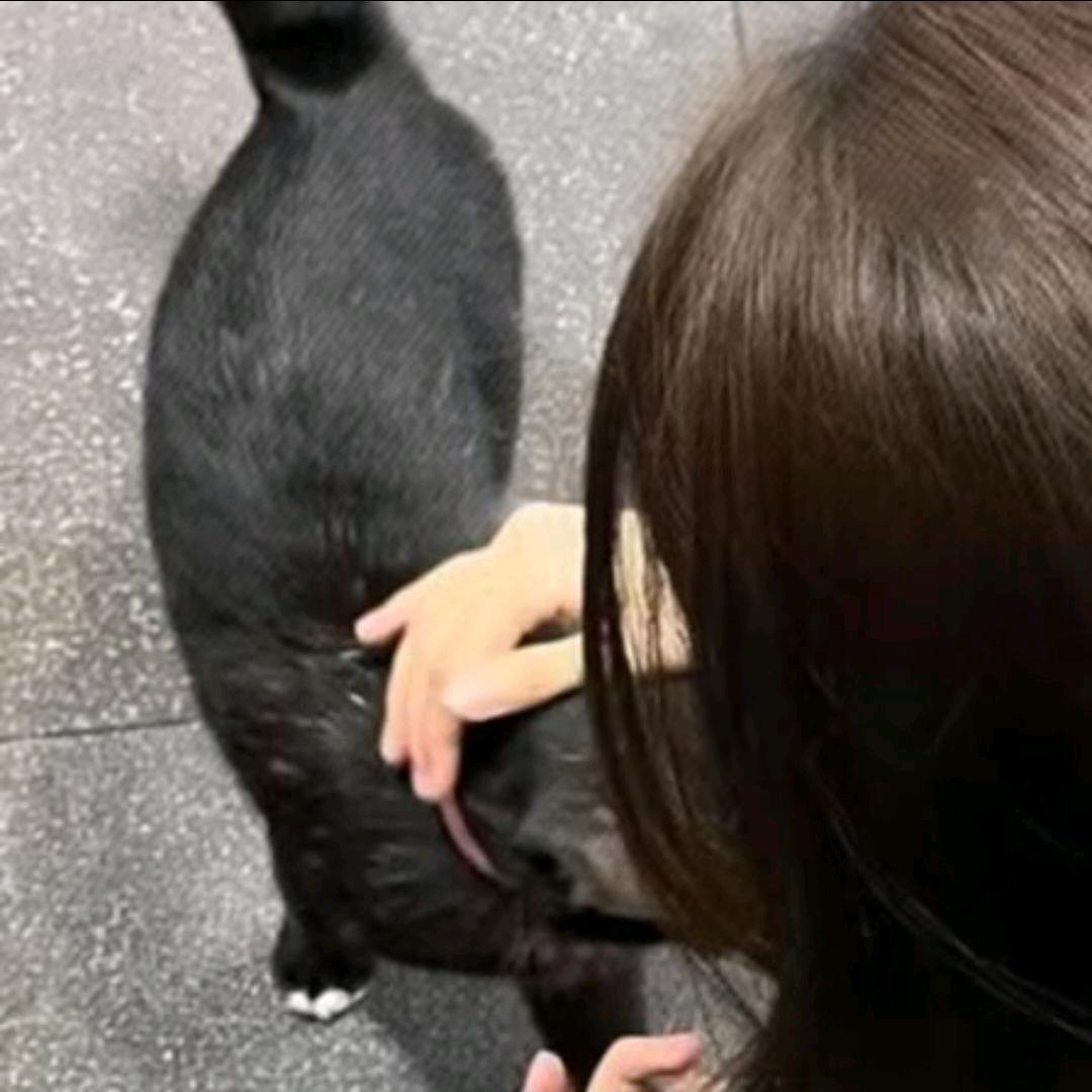 木