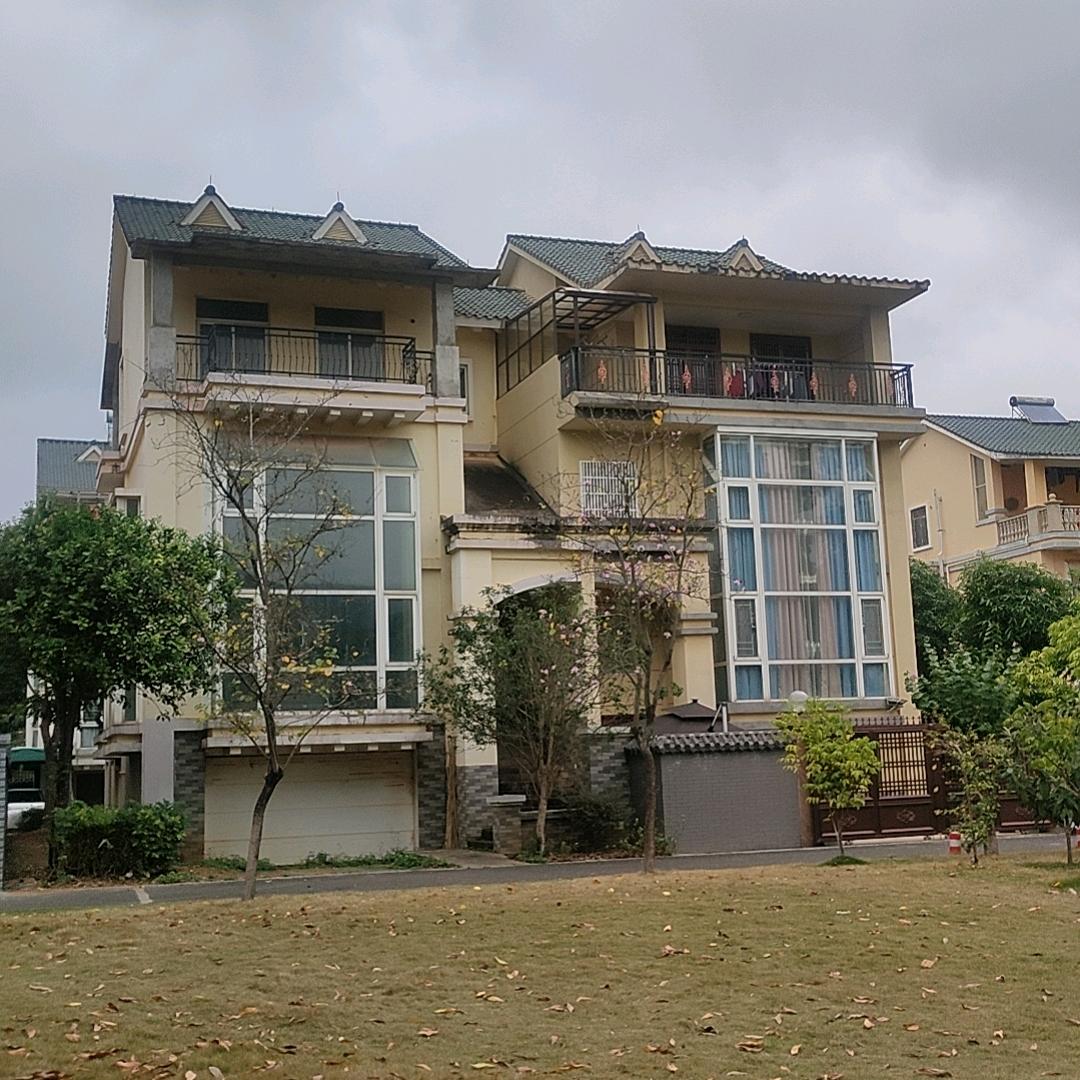 JOHNNY HANDSOME 约翰瀚森