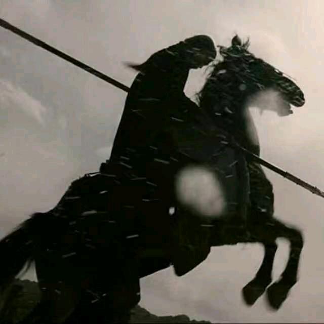 骑黑马的小鱼儿