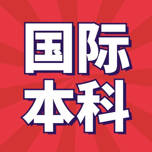 王老师聊国际本科