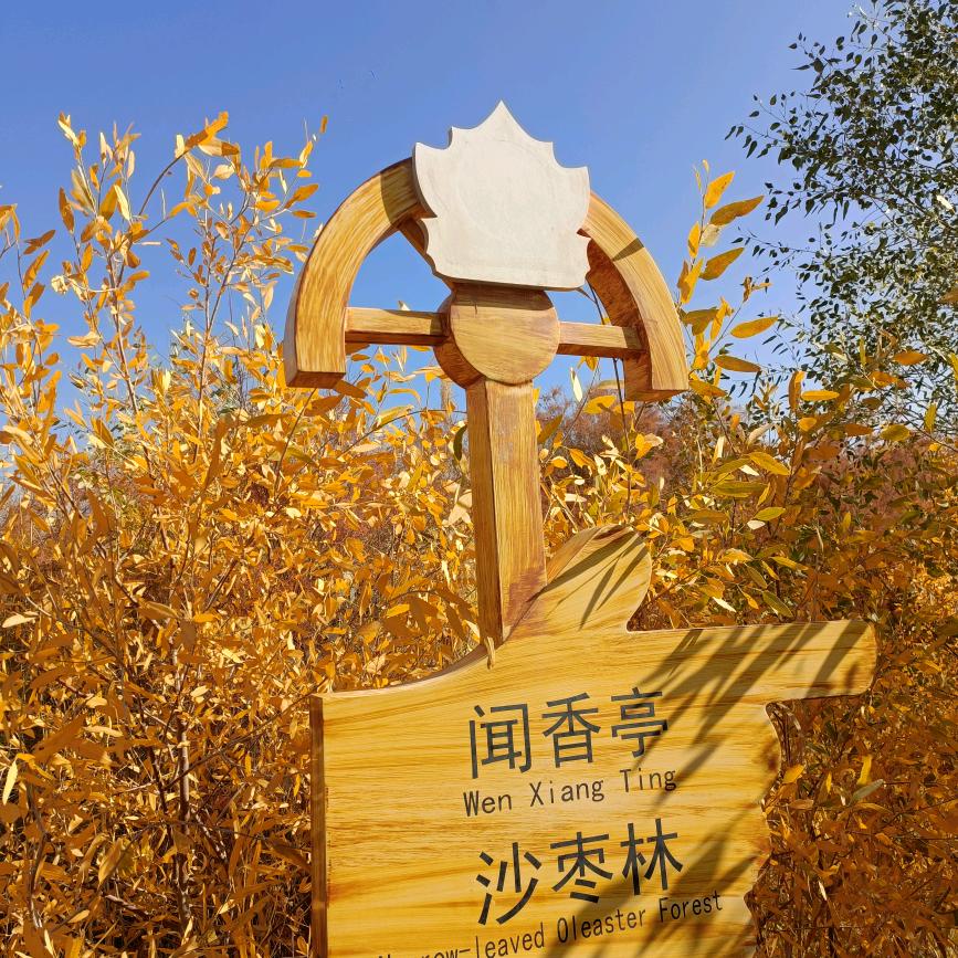 银杏叶（只回赞十谢谢）