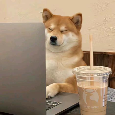 杨先生蛋糕店的打工日常