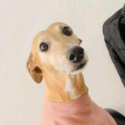 小李子心理学