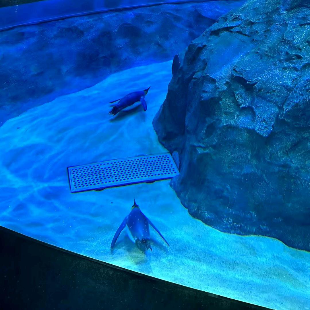 灵魂最美的音乐是善良。