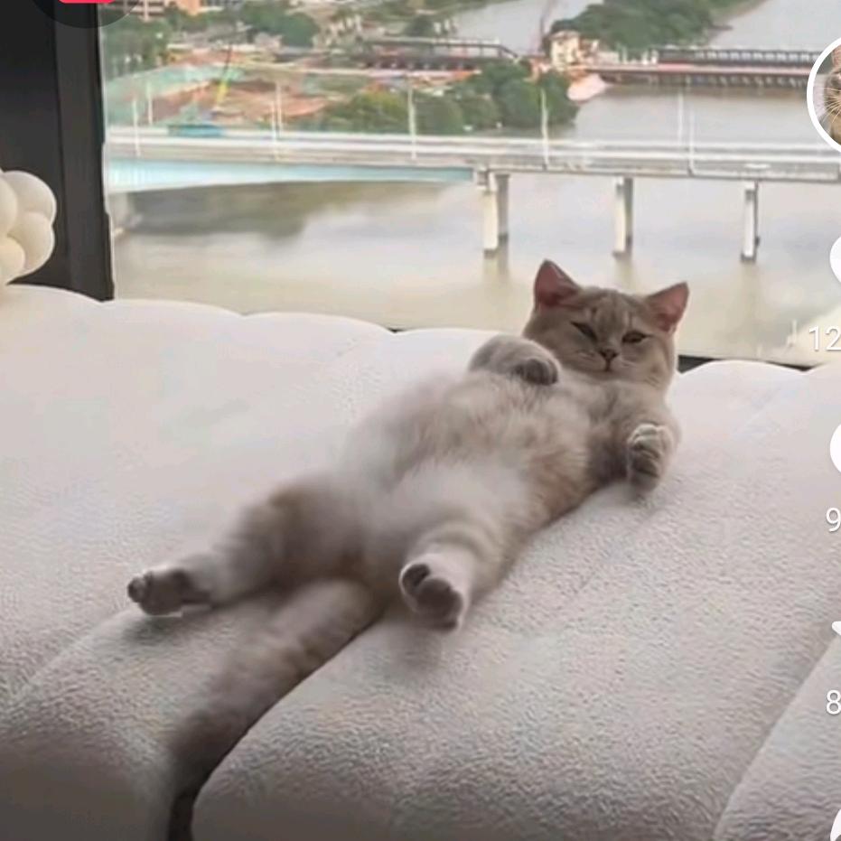 神马都是浮云😏