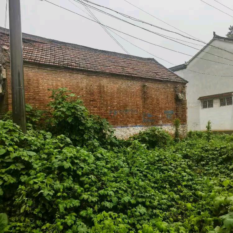 村民小吴吴