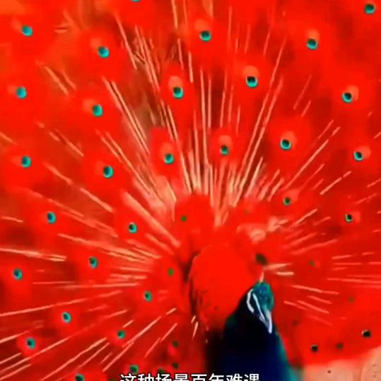 用户4757601238207