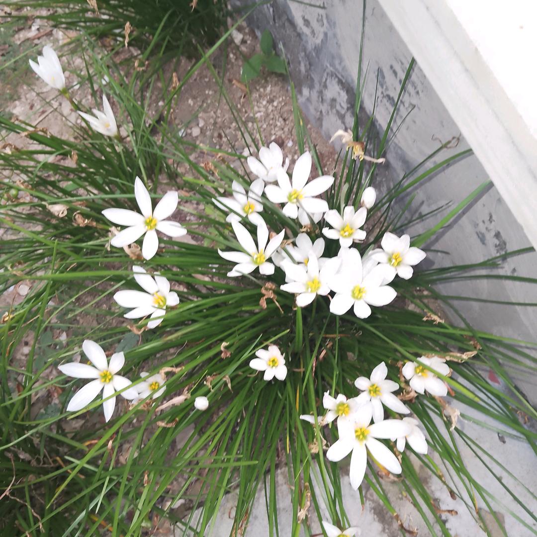 一场秋雨一场寒