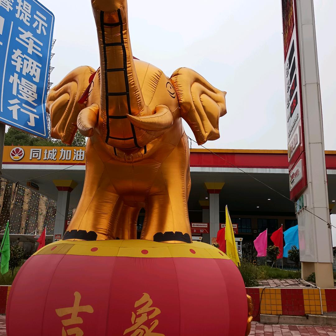 一生不变