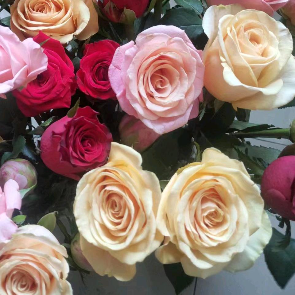 花开花落，花满天