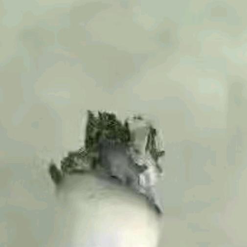 ………天道