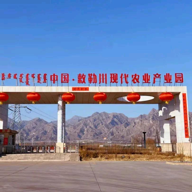 敕勒川农业产业园 刘莎