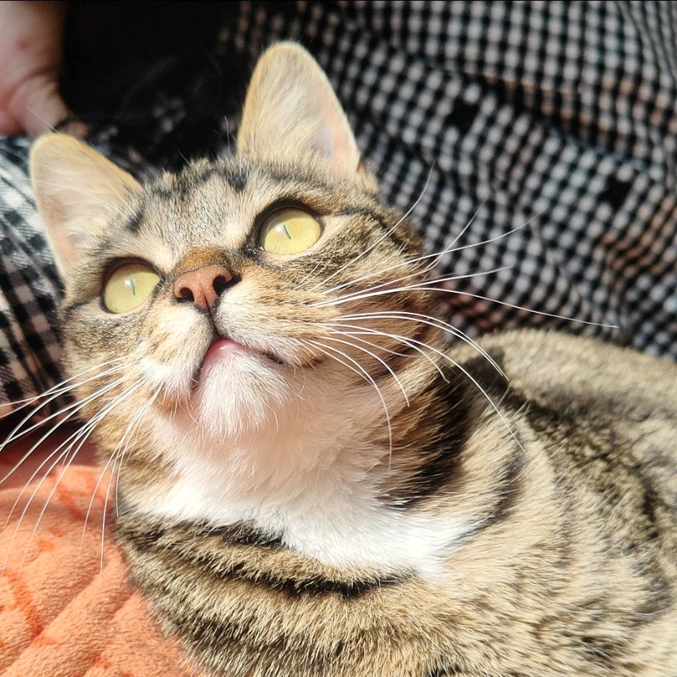 怂包蛋在哪里