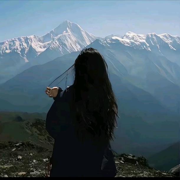 Yang咩咩
