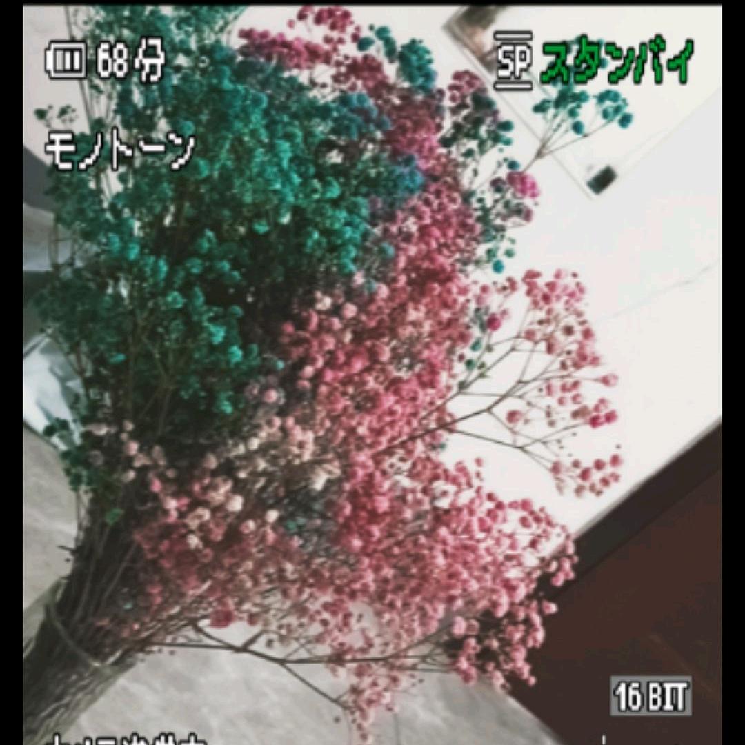 金小姐姐