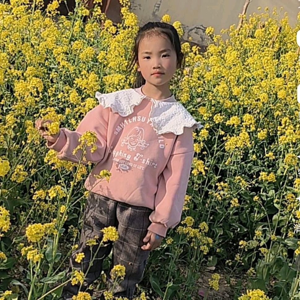 桃桃