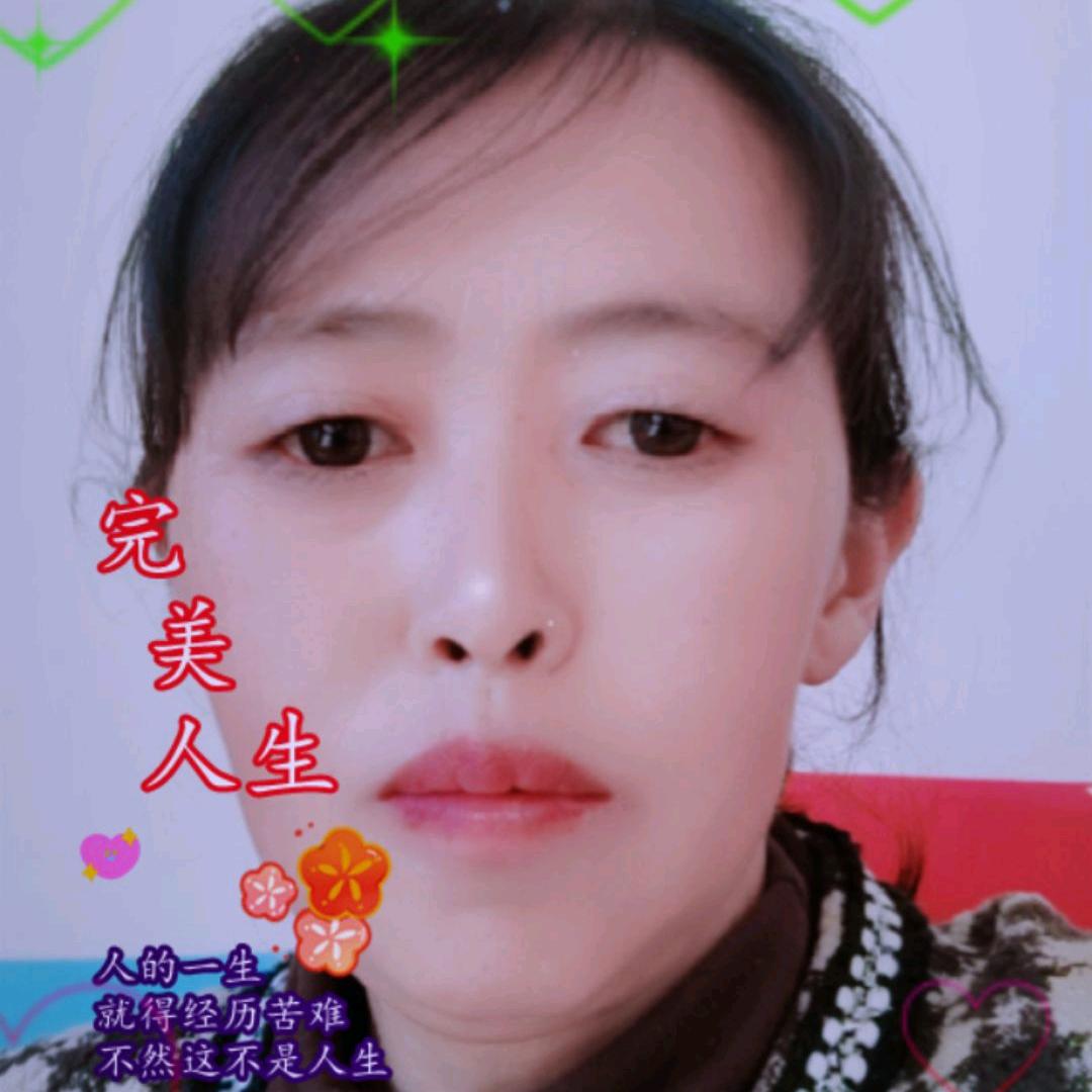 七巧凤凰