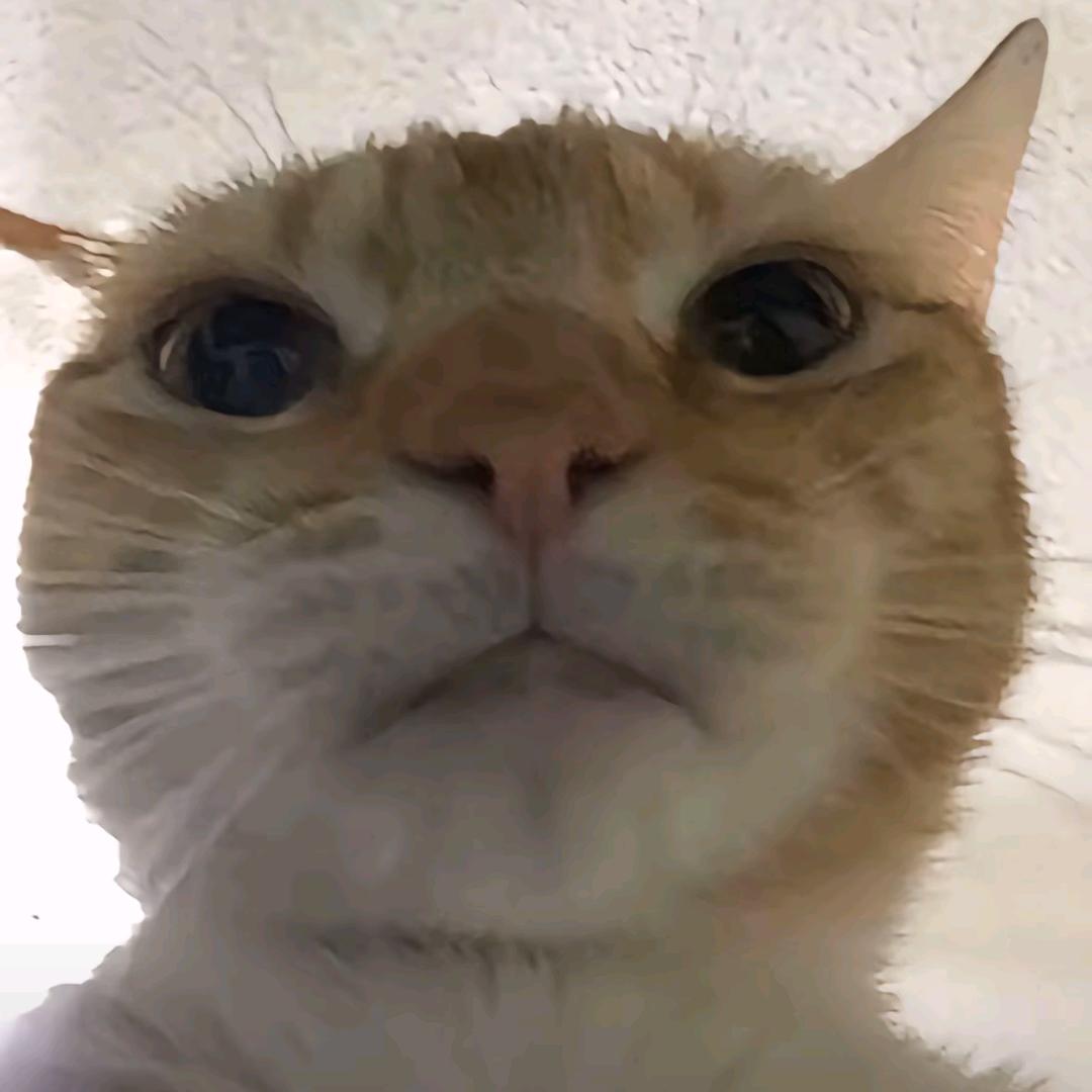 凪，，