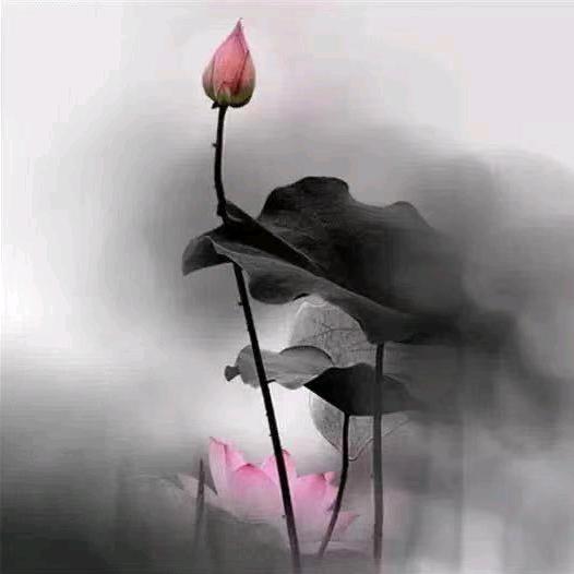 花好月圆，天长地久