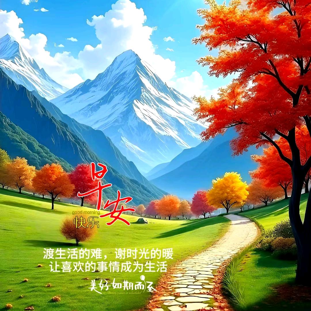 翱翔
