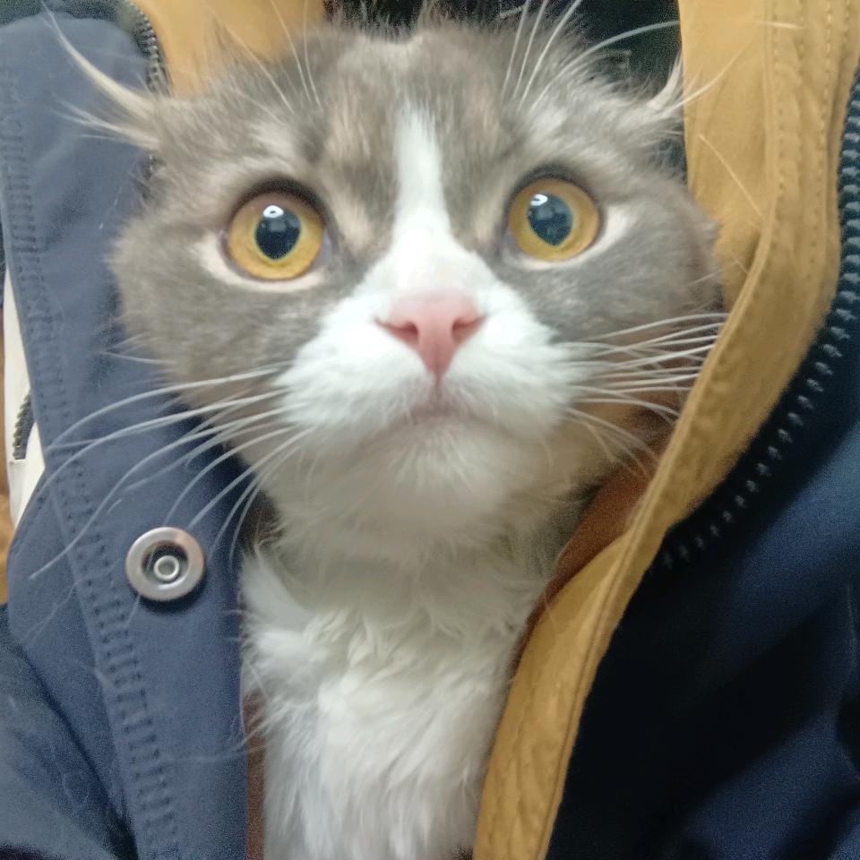 去打小怪兽啦