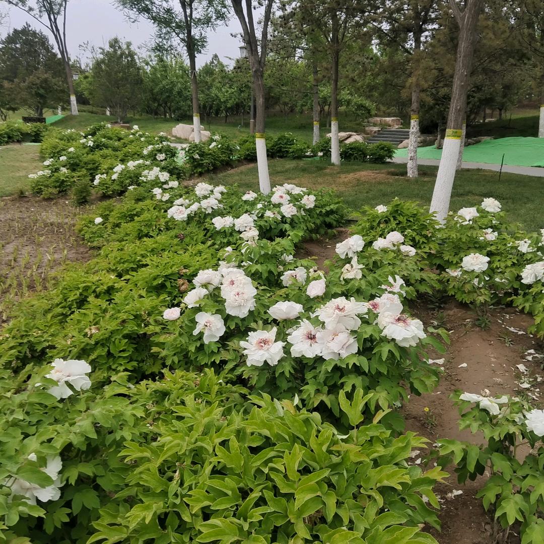 篮天