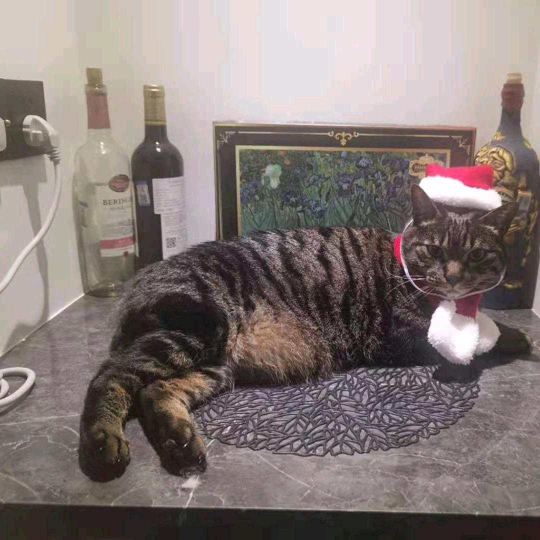 念真室内设计（差旅全国）