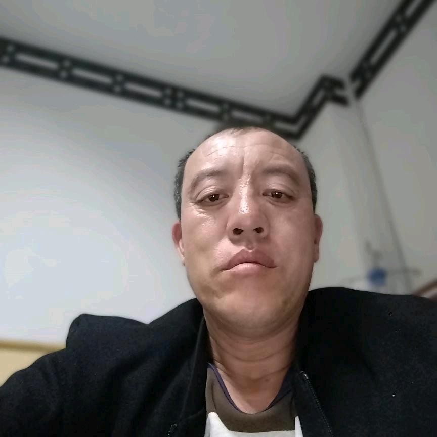 袁歌