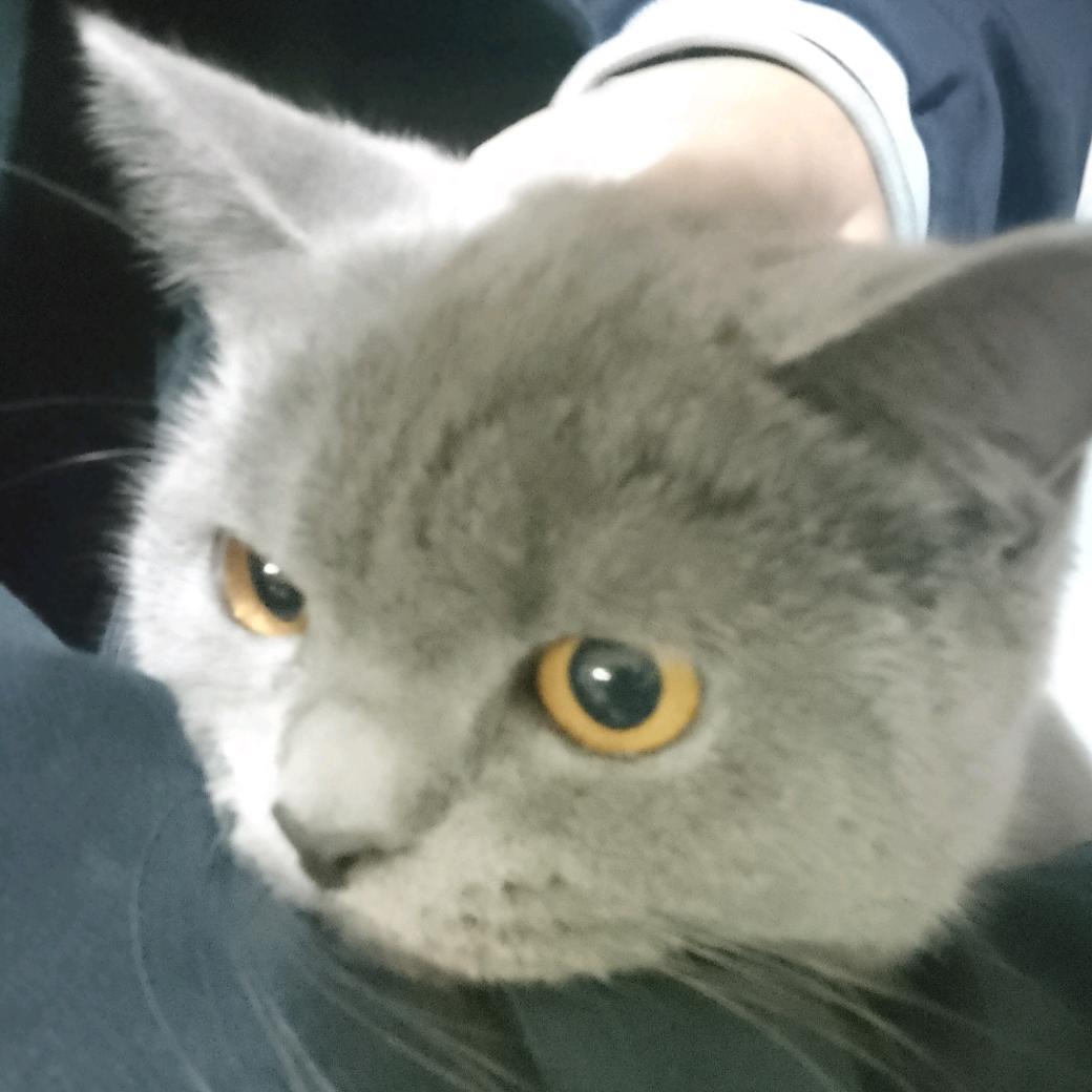 又一个春暖秋凉