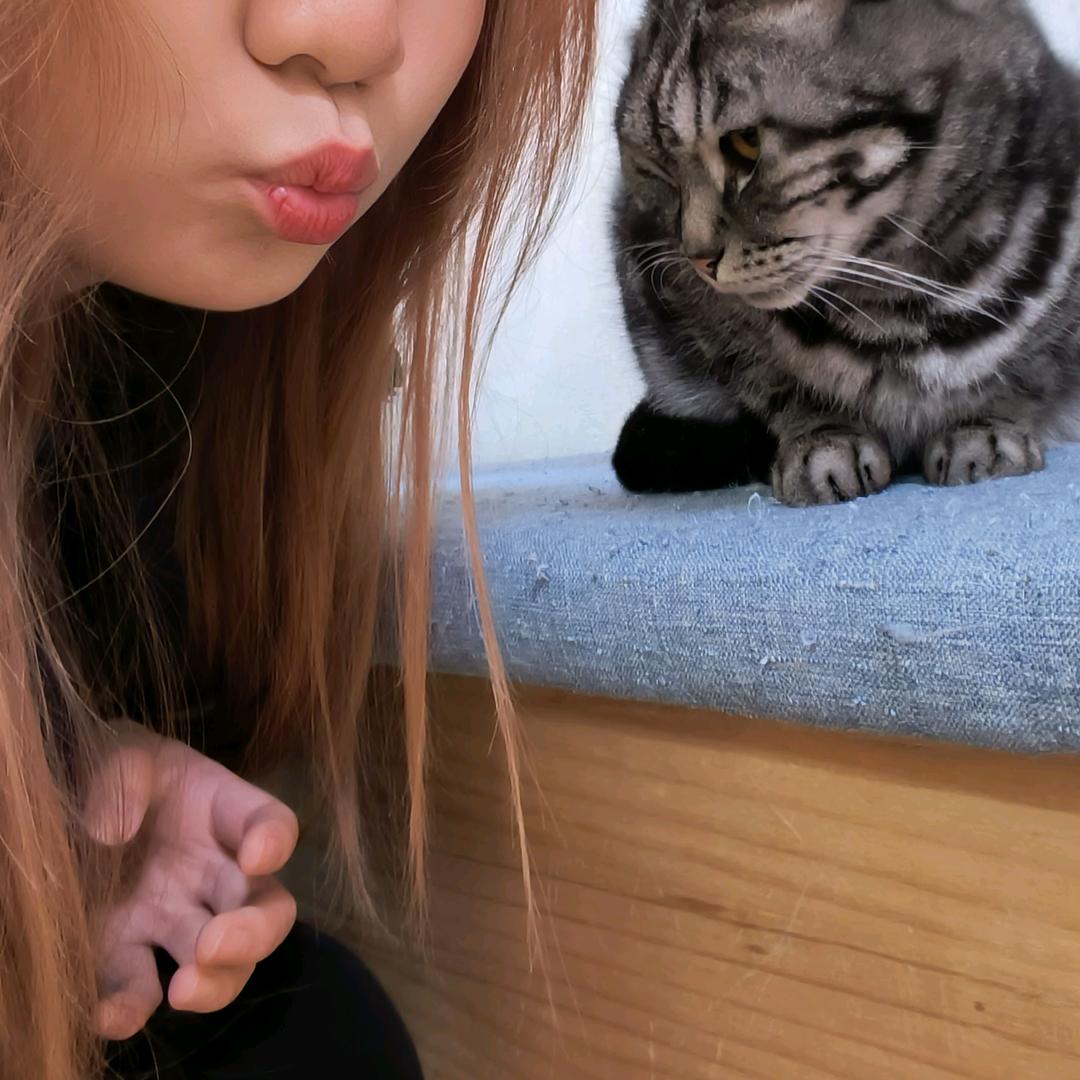 勺勺（努力克服困难考研版）