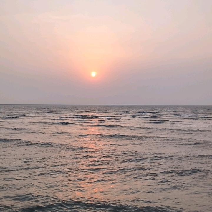 随风飞扬