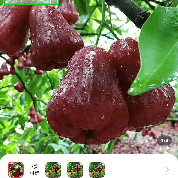 落幕