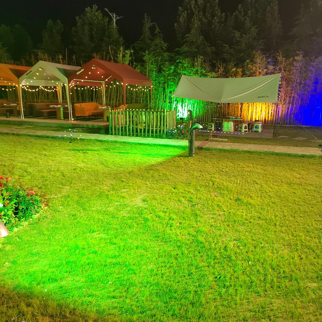 @二刚流动烤全羊