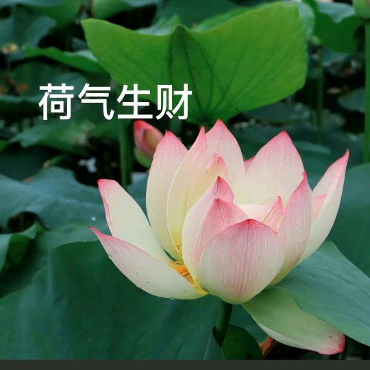 陈❤️