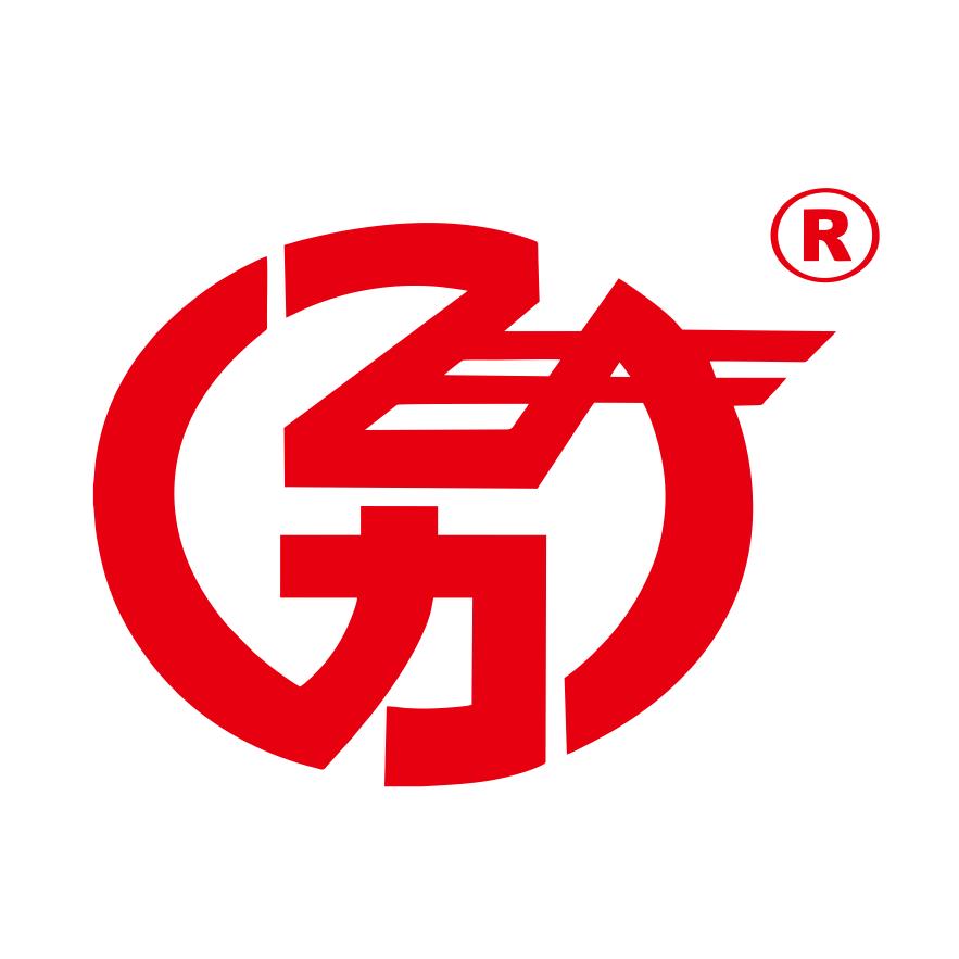飞力新能源