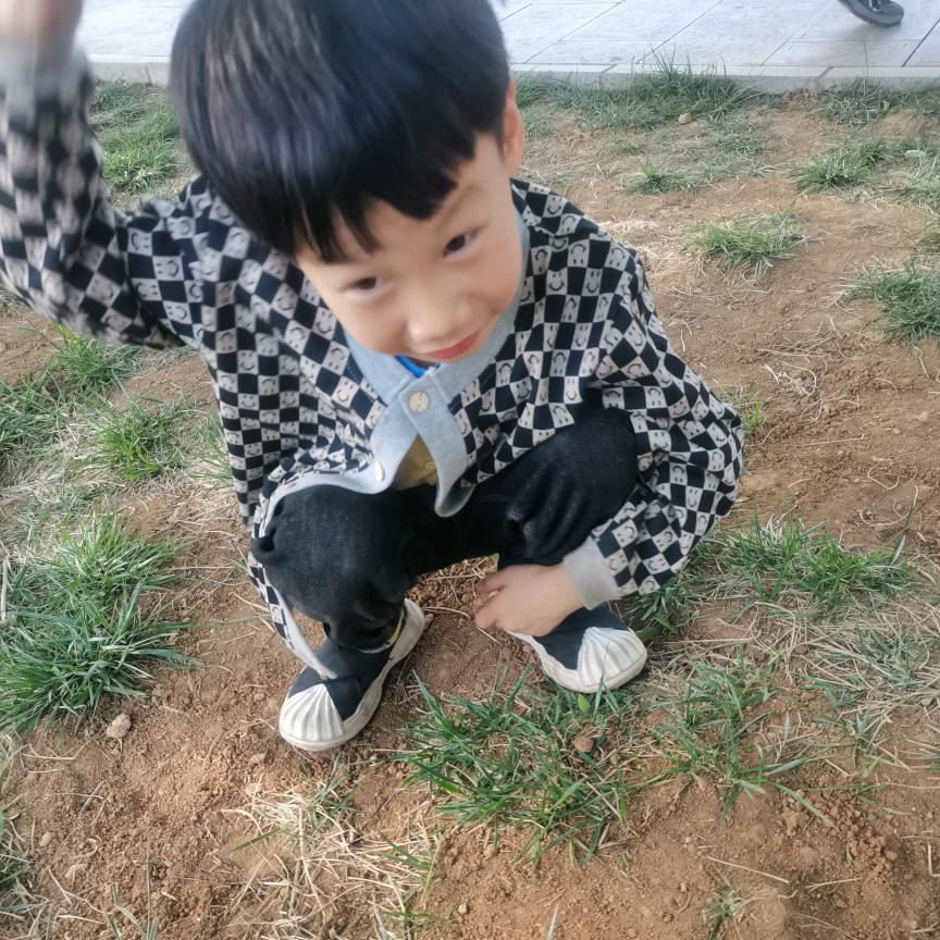 该怎样就是怎样