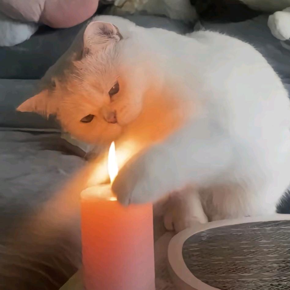 打不了一点
