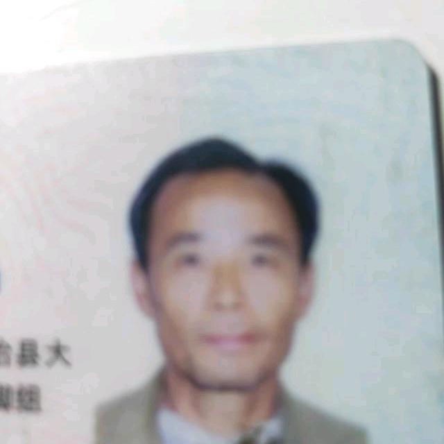 南飞鹰