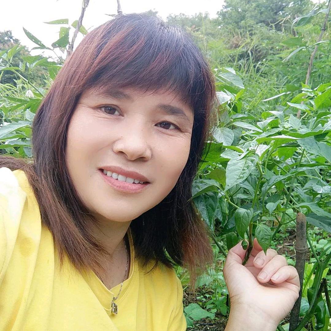 红姐