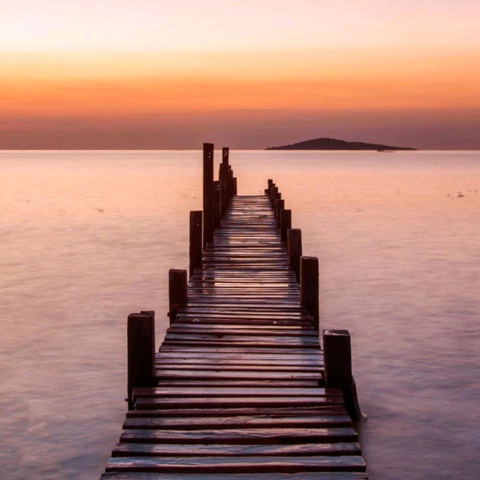 🔥🔥谁会记得我【福福】