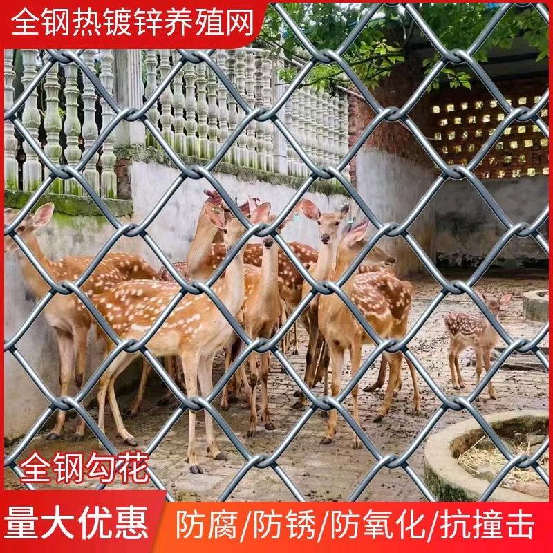 优乐丝网经营部