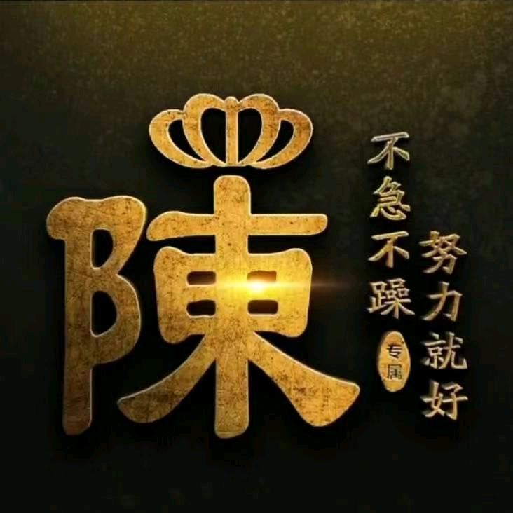 金红莱T恤源头厂家-金正