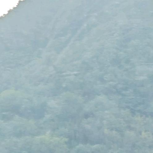 摊煎饼