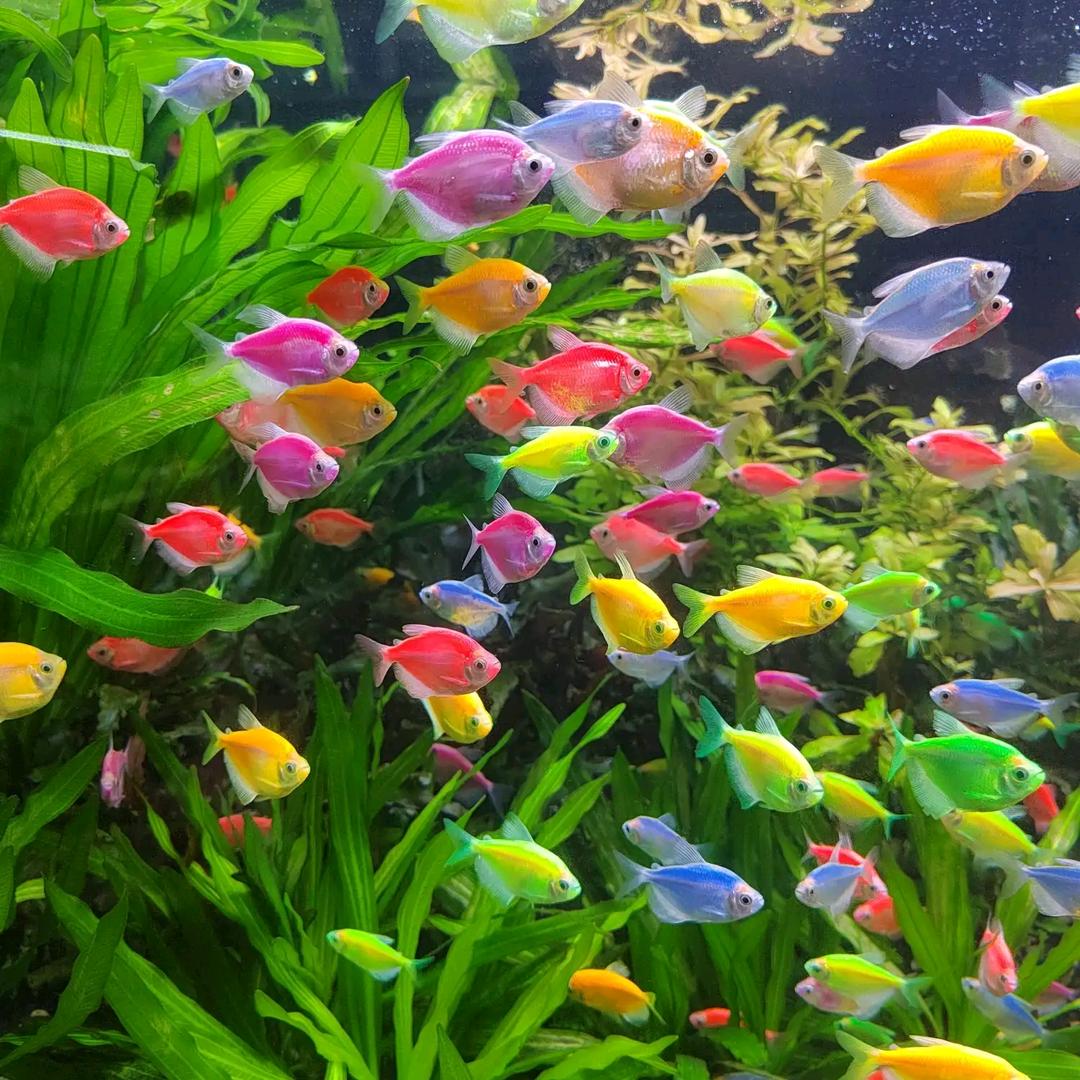 水族超市一店