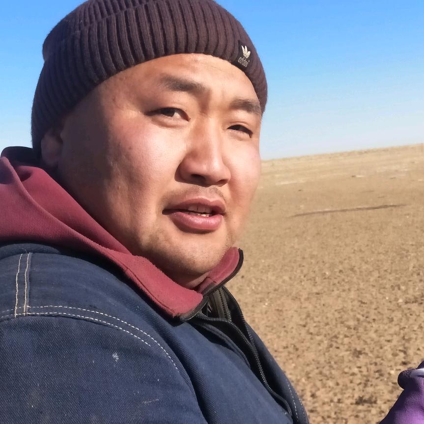 树的海洋（兽医）