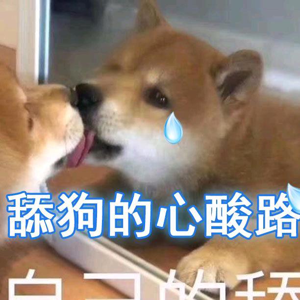 舔狗的心酸路
