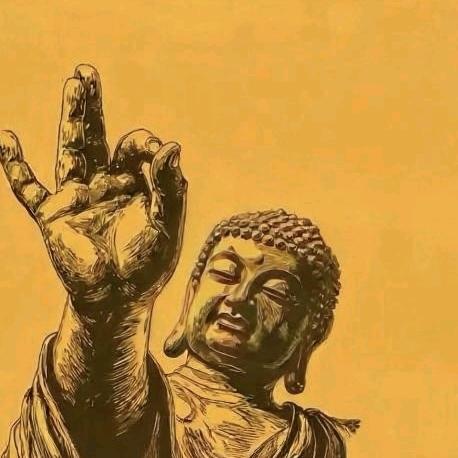 山东一般人