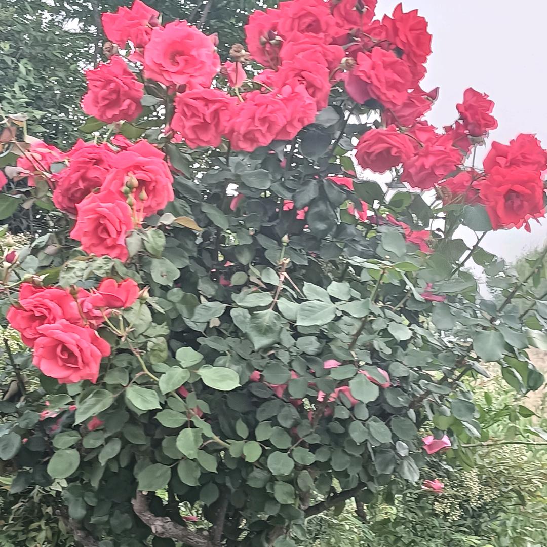 美女湸亮的很，